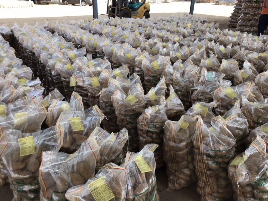 Egyptian Potatoes Premium Quality Wholesale Supplier