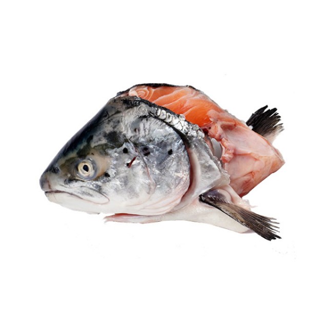 Frozen Salmon Heads Rich in Omega3, Vitamin A, and Calcium