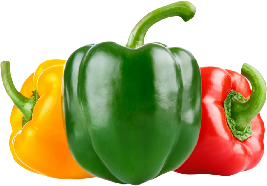 Fresh Capsicum Information Manufacturer Supplier Exporter Fresh