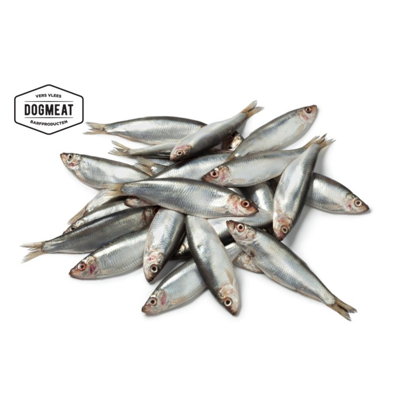 Dogmeat Barf Sprat 500 grammes
