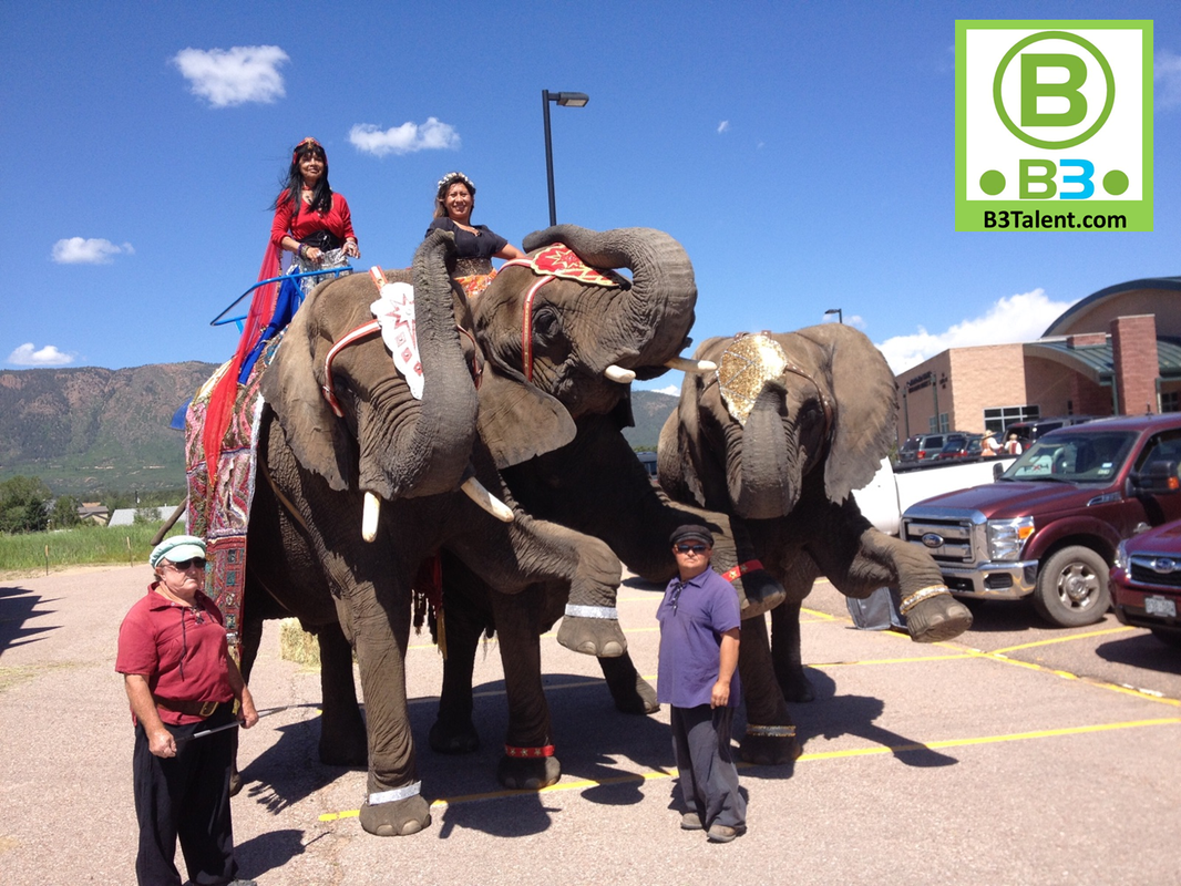 Elephant Rental B3 Entertainment Productions, Inc.