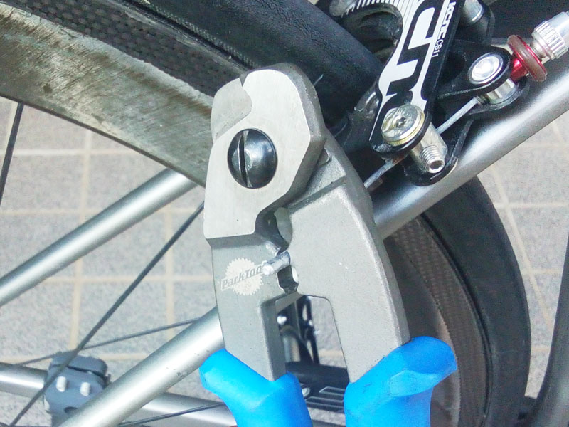 チームキープレフト 照片 Facebook doppelganger 自転車 事故