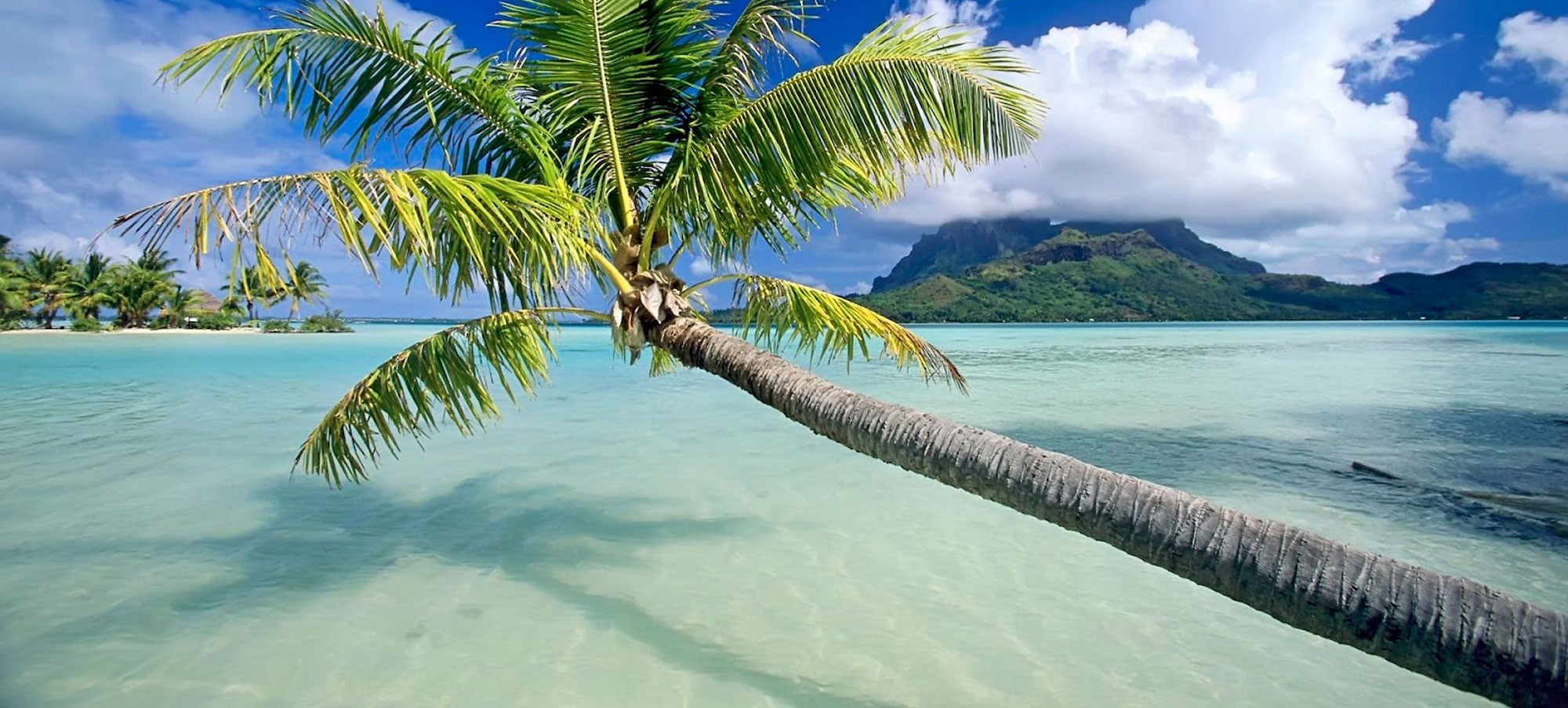 B4 Rental Car Location de voiture en Martinique Rent a Car