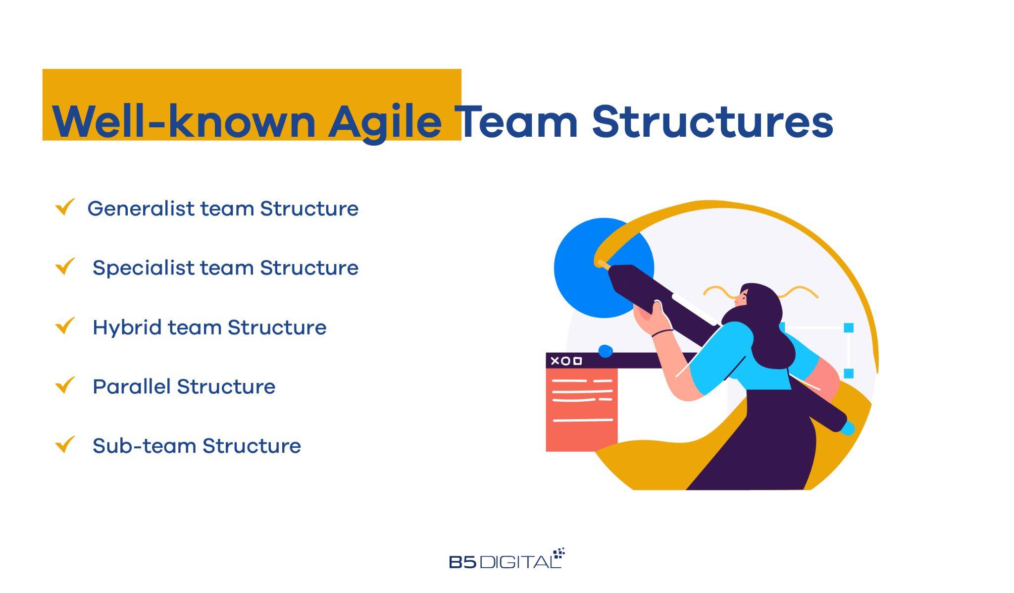 Software Development Team Structures Your Ultimate Guide B5 Digital