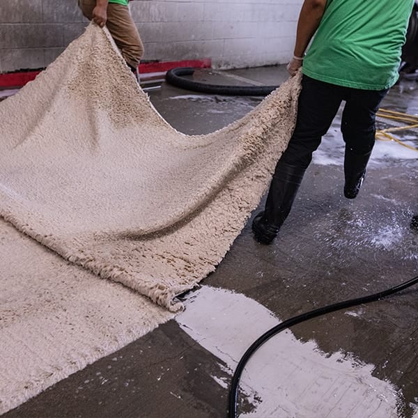 Shag Rug Cleaning Los Angeles Babash Rug Services