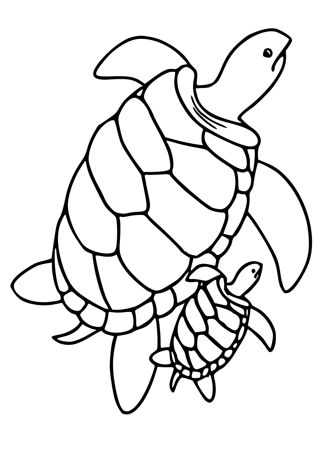 Cute Coloring Pages Of Turtles