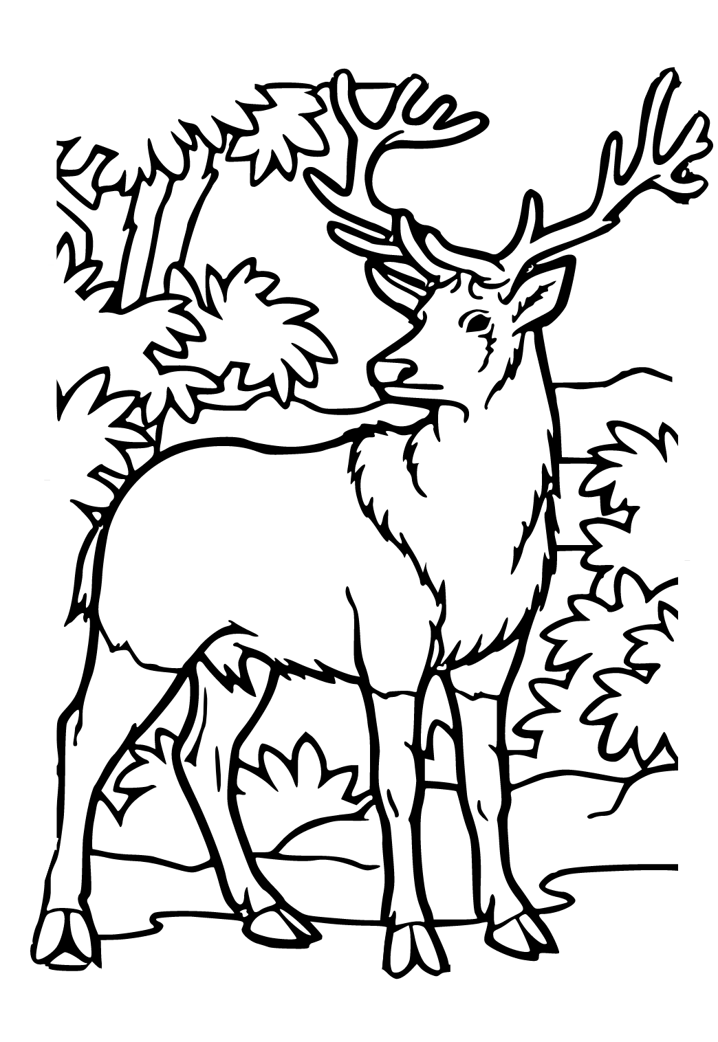 Free Printable Deer Attention Coloring Page, Sheet and Picture for