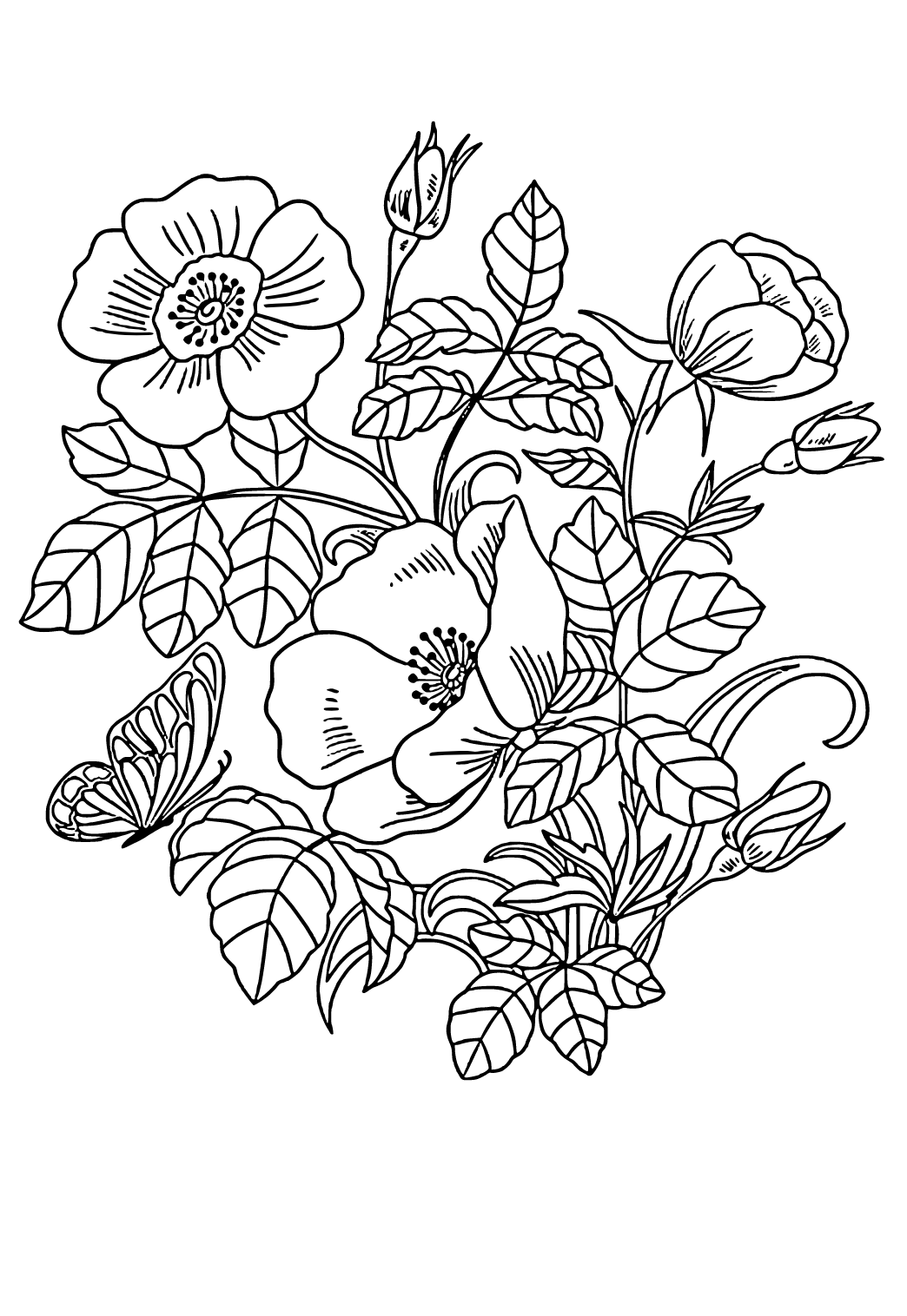 Free Printable Floral Butterfly Coloring Page, Sheet and Picture for