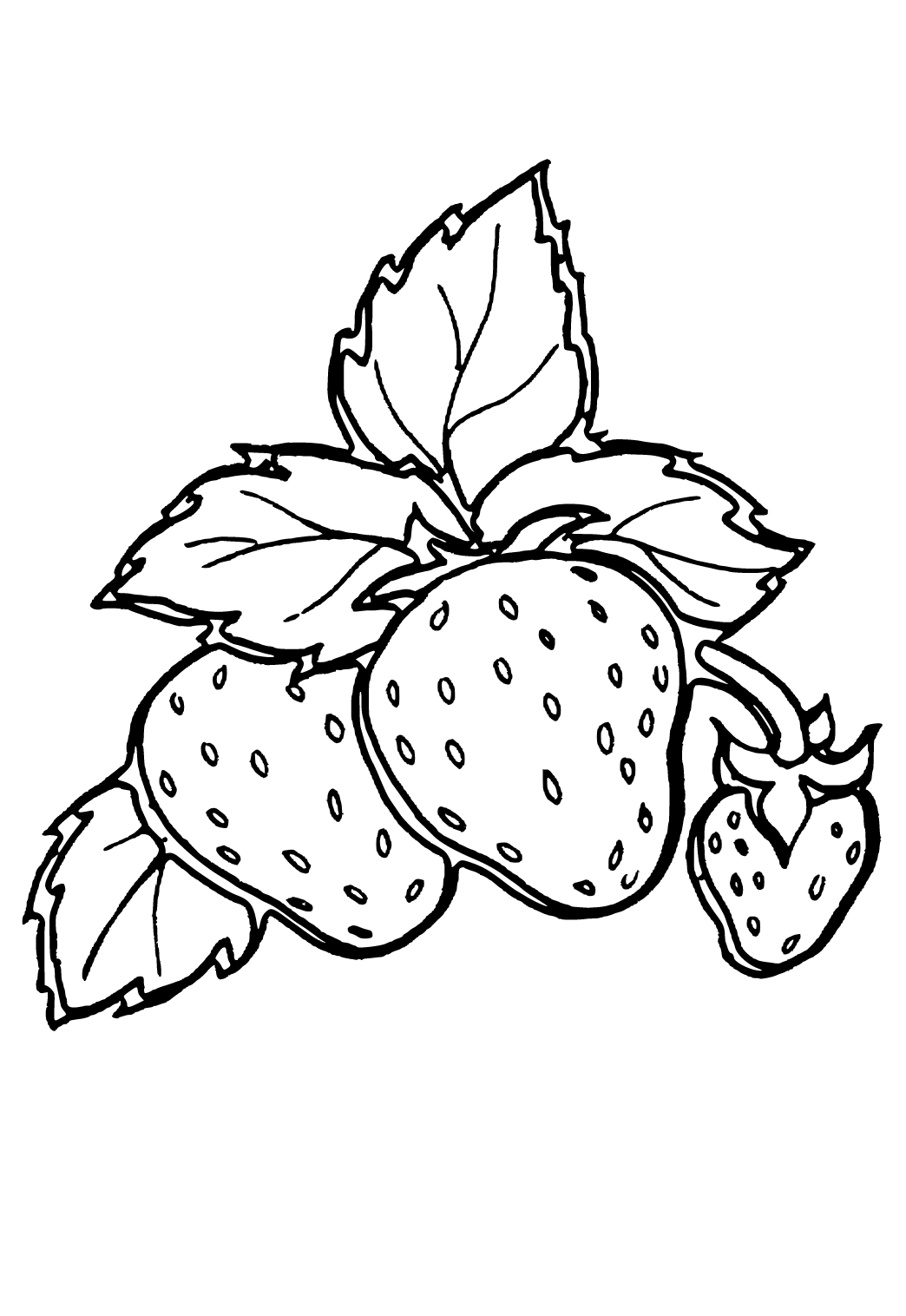 Free Printable Strawberry Bush Coloring Page, Sheet and Picture for