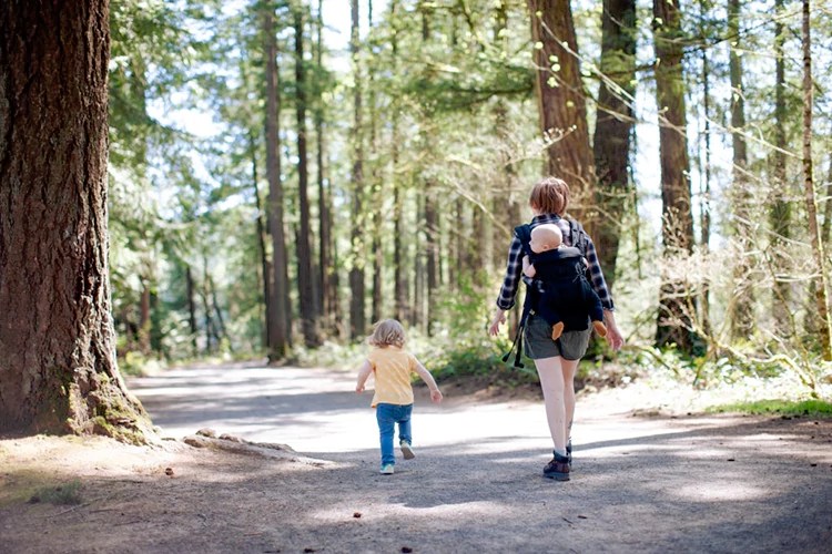 Best Baby Carrier For Petite Mom 2024