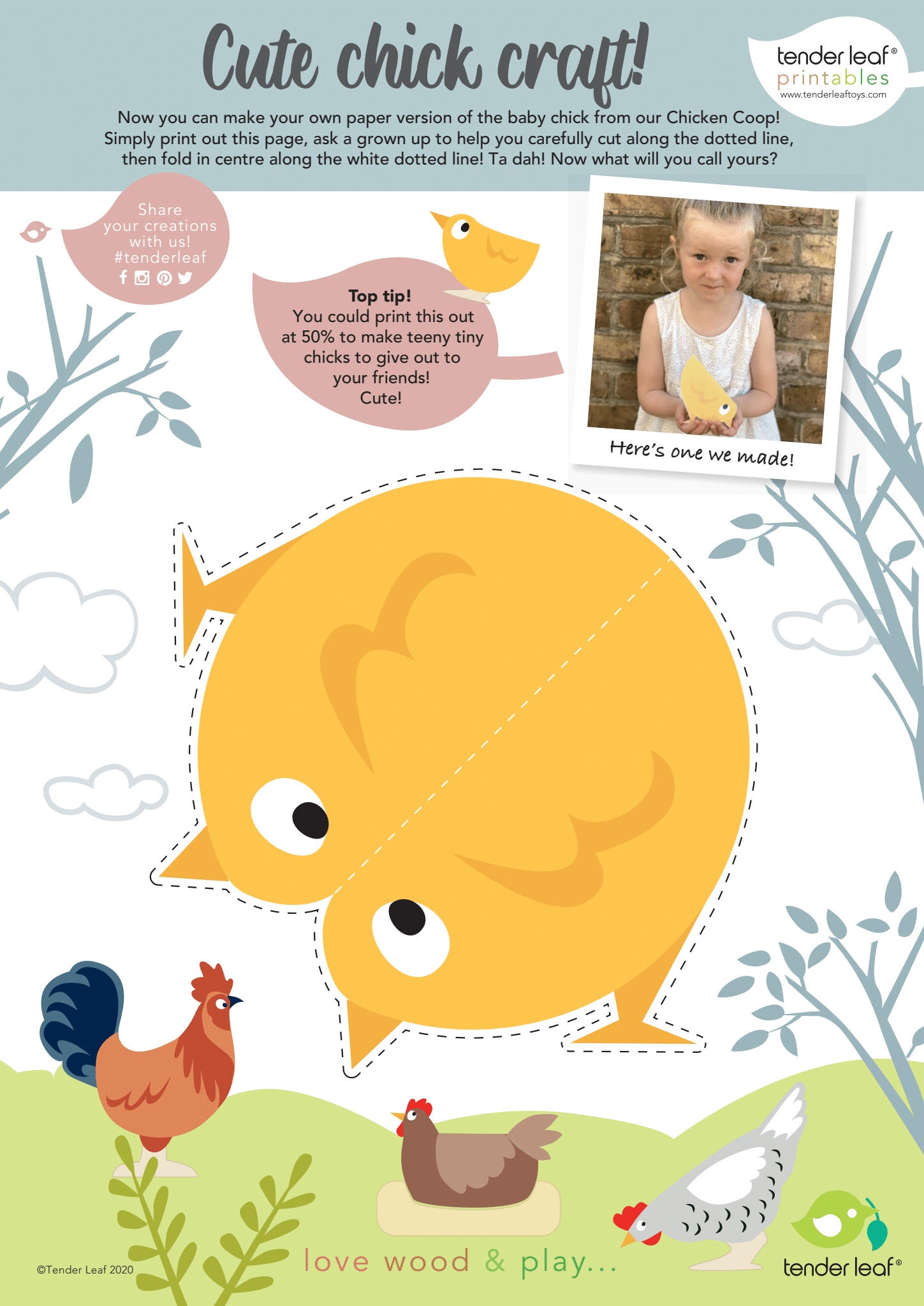 Set pollaio Chicken Coop Tender Leaf Babookidsdesign