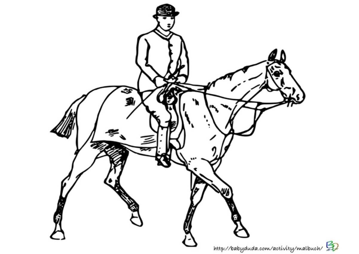 Ausmalbilder Pferd und Reiter zum Ausdrucken kostenlos BabyDuda