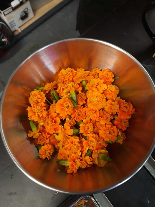 7 Awesome, Nutritious Meals for Elderly Parents Babylon MicroFarms