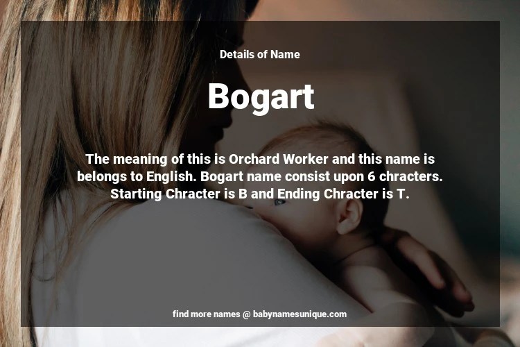 Bogard Definitions Meanings, 51 OFF gbupresnenskij.ru