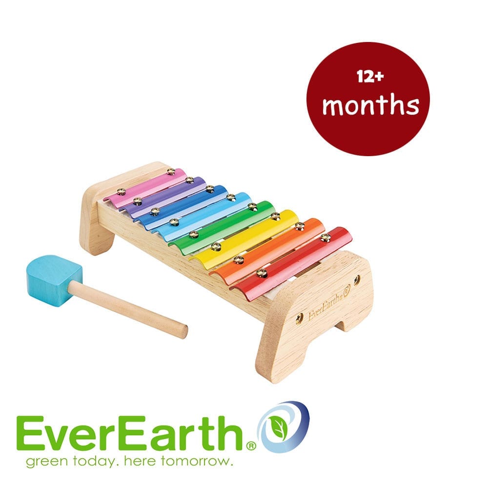 Buy EverEarth Metal Xylophone Online BabyNest