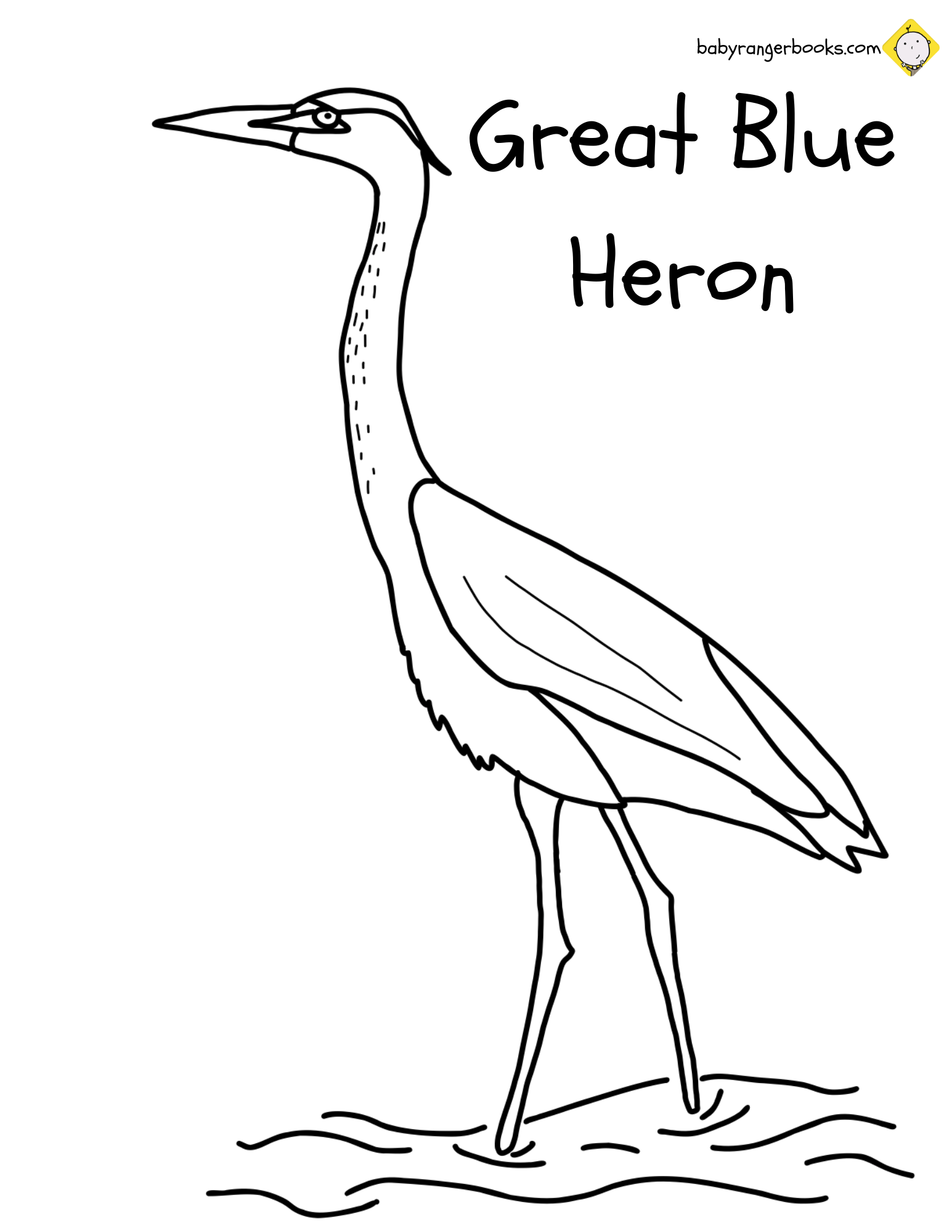 EVERGLADES NATIONAL PARK COLORING PAGES