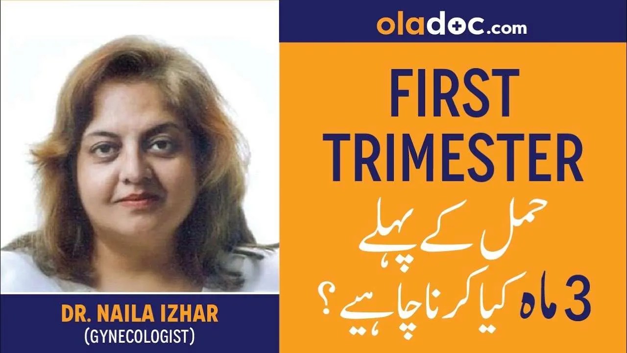 First Trimester of Pregnancy Tips Urdu Hindi