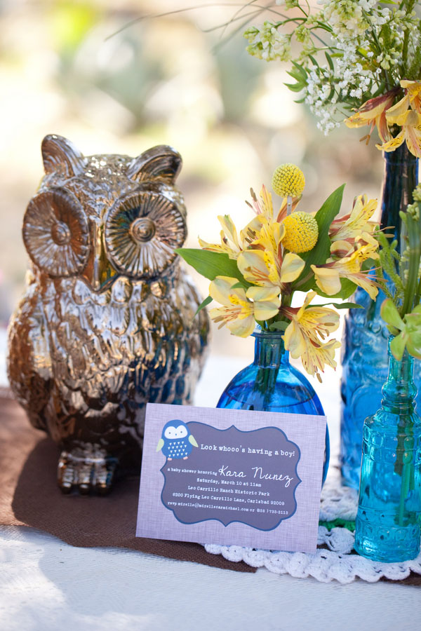 Grow Wise Little Owl Baby Shower Baby Shower Ideas 4U