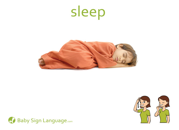 Sleep