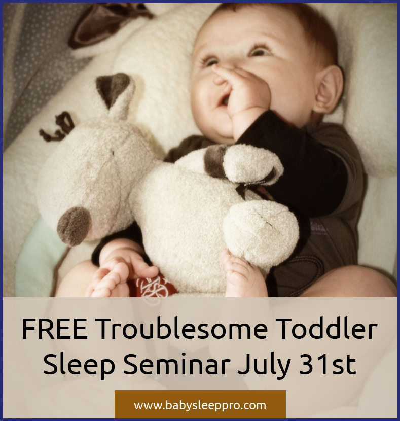 FREE Troublesome Toddler Sleep Seminar July 31st Baby Sleep Pro,Baby