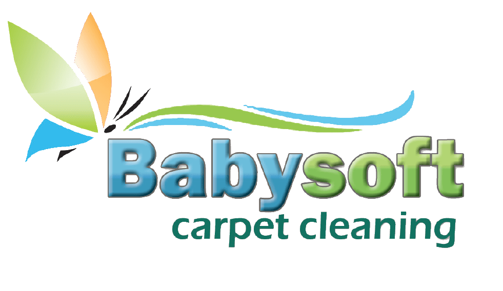 Quality Deep Cleaning Services For The Tampa Area Carpet