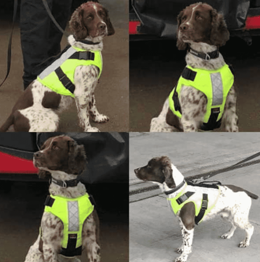 K9 Bulletproof Vest BAC Tactical