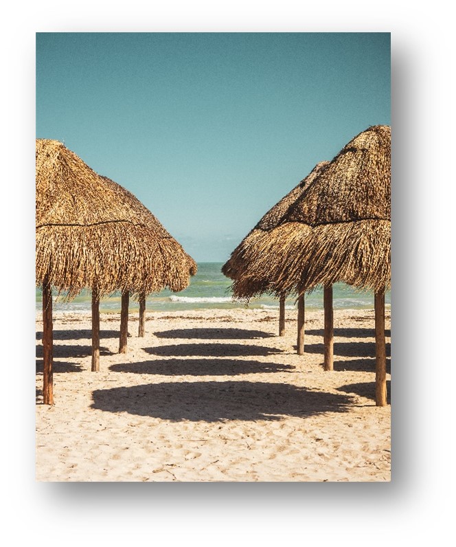 Mexico Border Crossing Requirements 2021 You Should Know