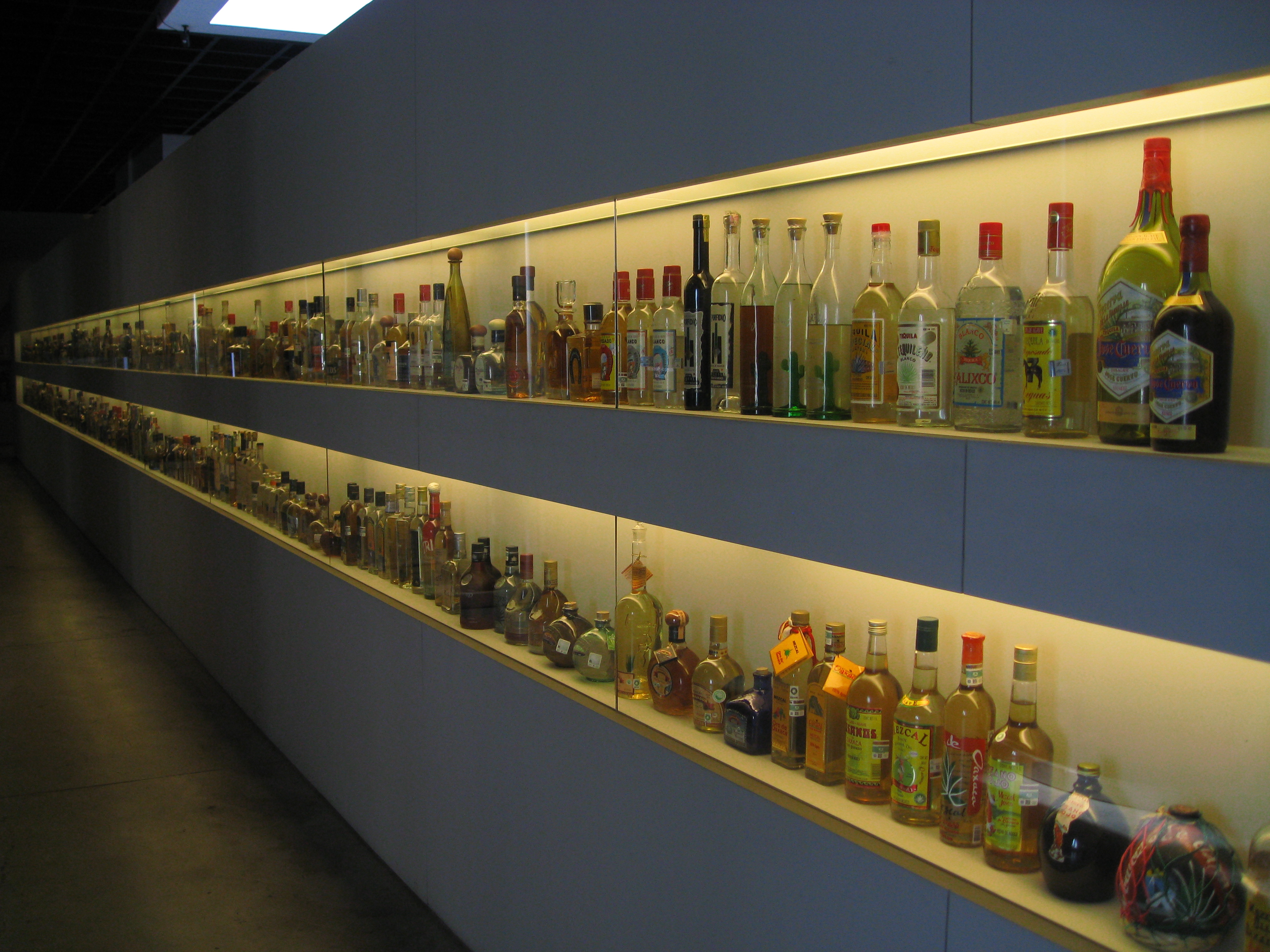 Drinks Tourism Mexico City’s Tequila and Mezcal Museum Bachelor Machine