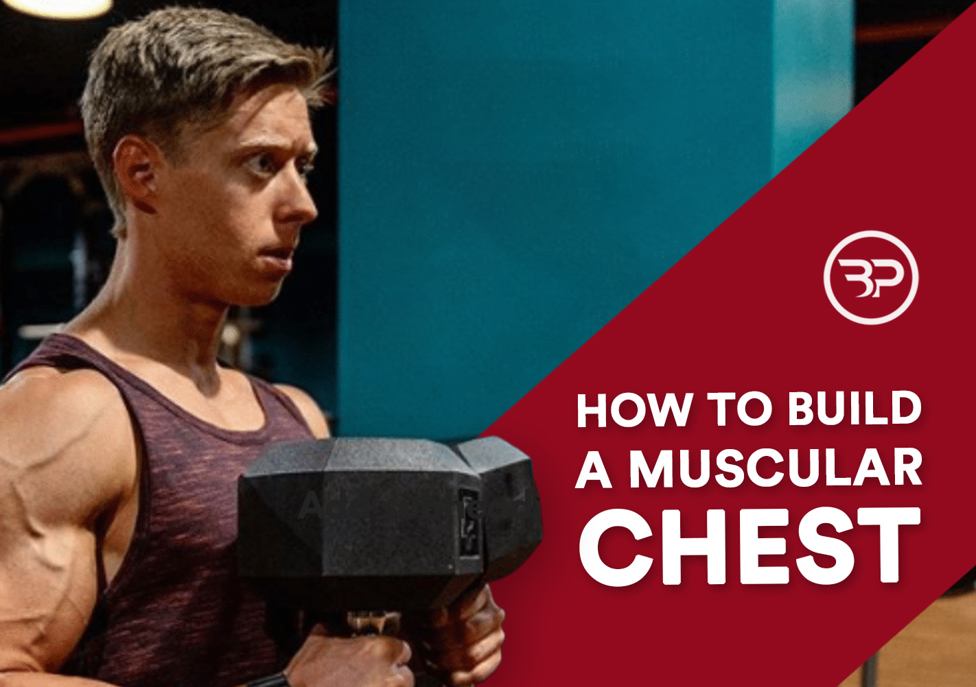 How To Build A Muscular Chest Eric Bach Blog