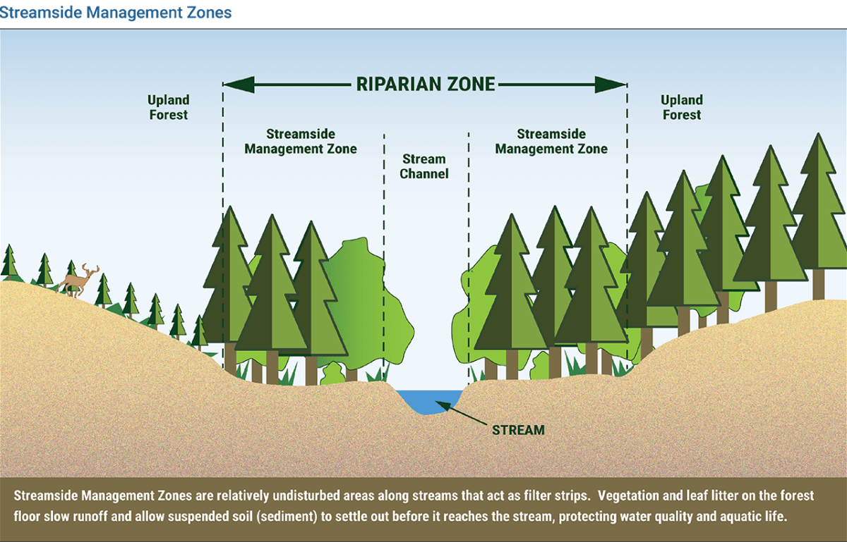 CSRWire PotlatchDeltic’s Commitment to Water Quality