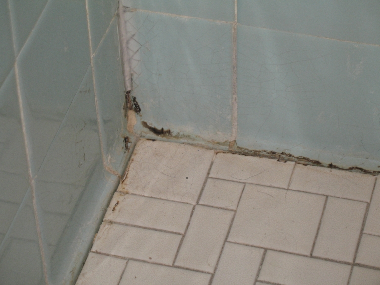 Vinyl Shower Floor Flooring DIY Chatroom Home Improvement Forum