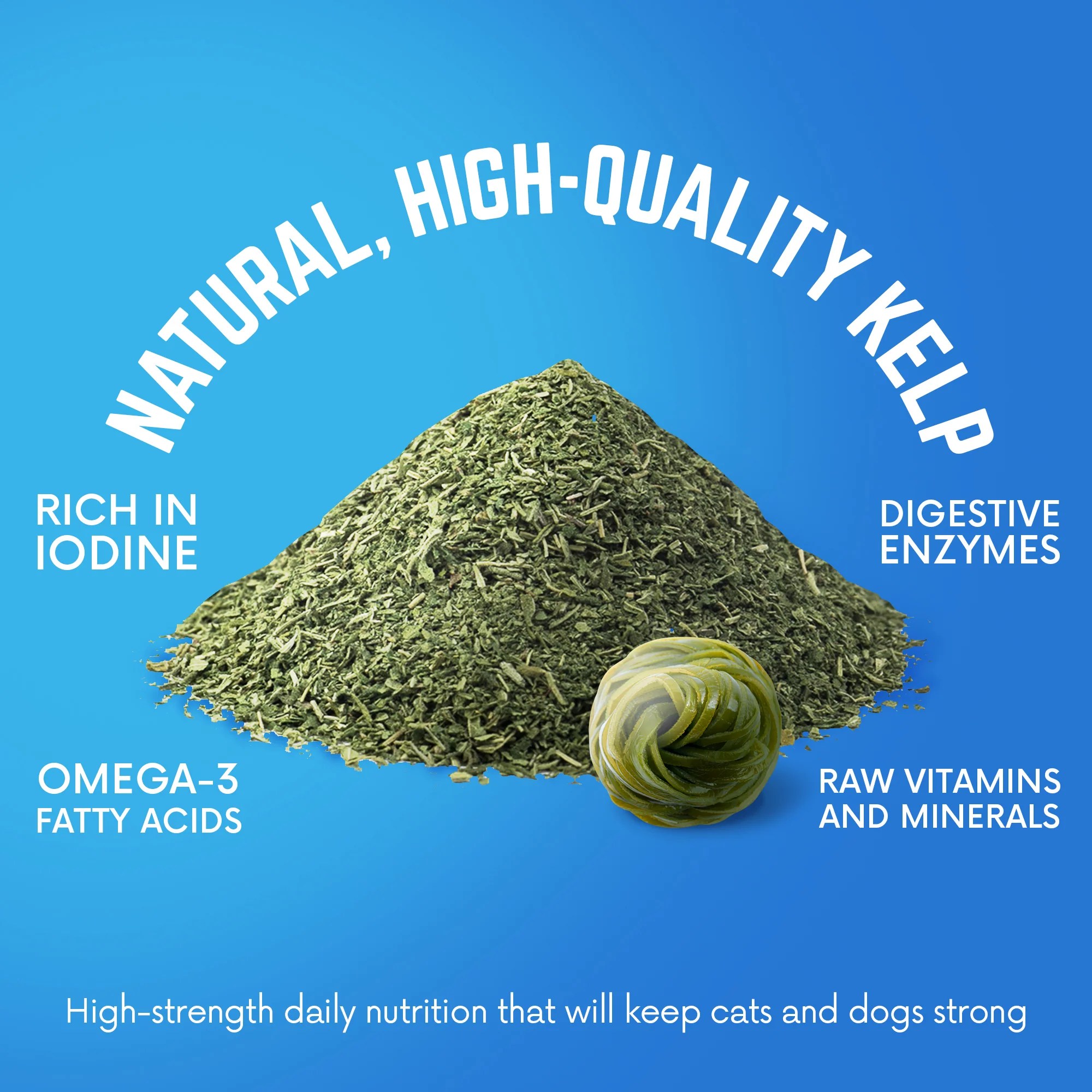 Best Kelp Supplement for Dogs Boost Immunity BACK 40 Dogs