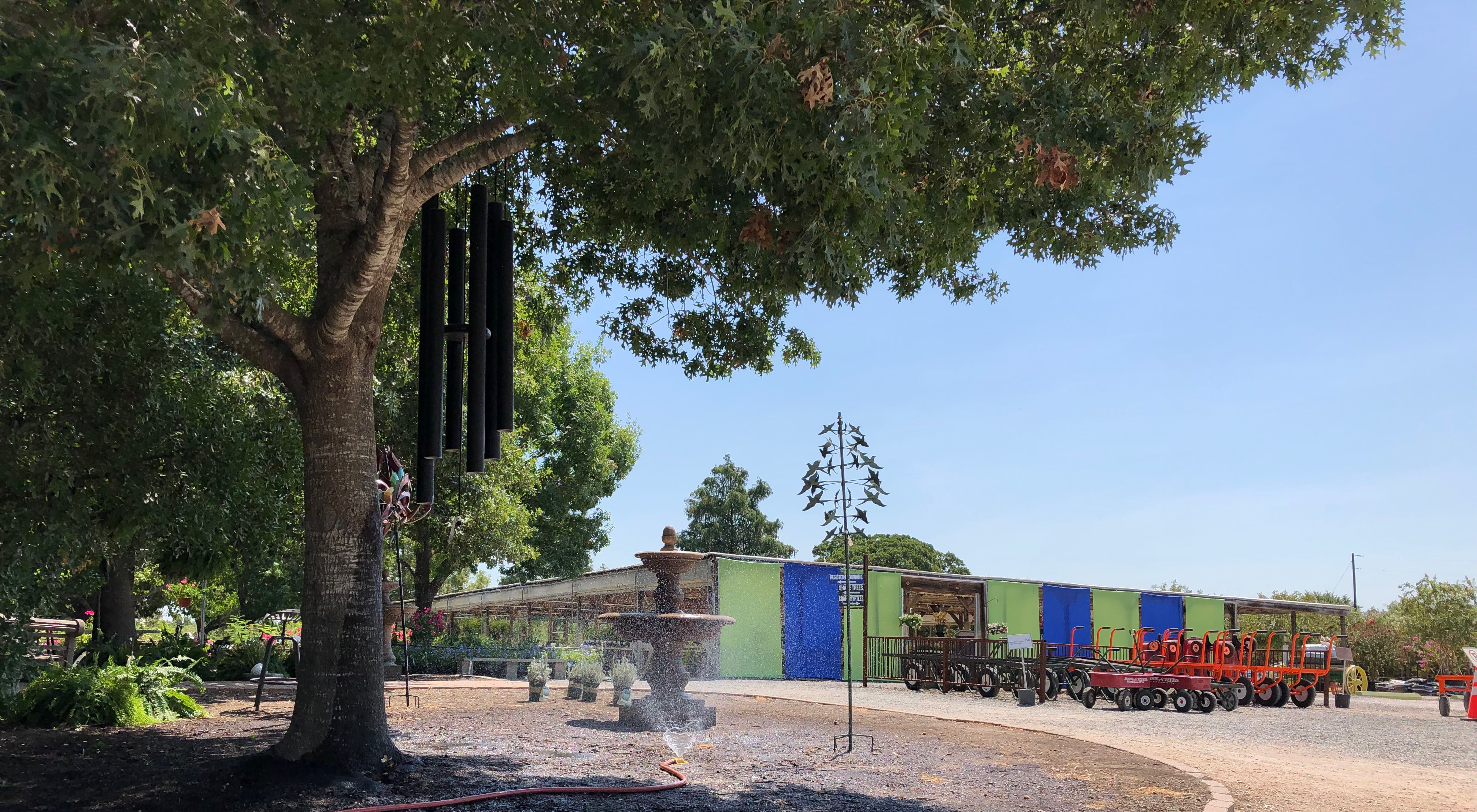Roots and How They Grow Backbone Valley Nursery