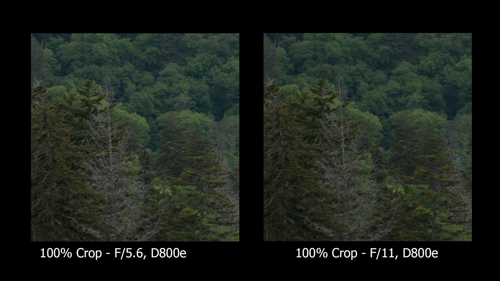 Lens Diffraction In Photography