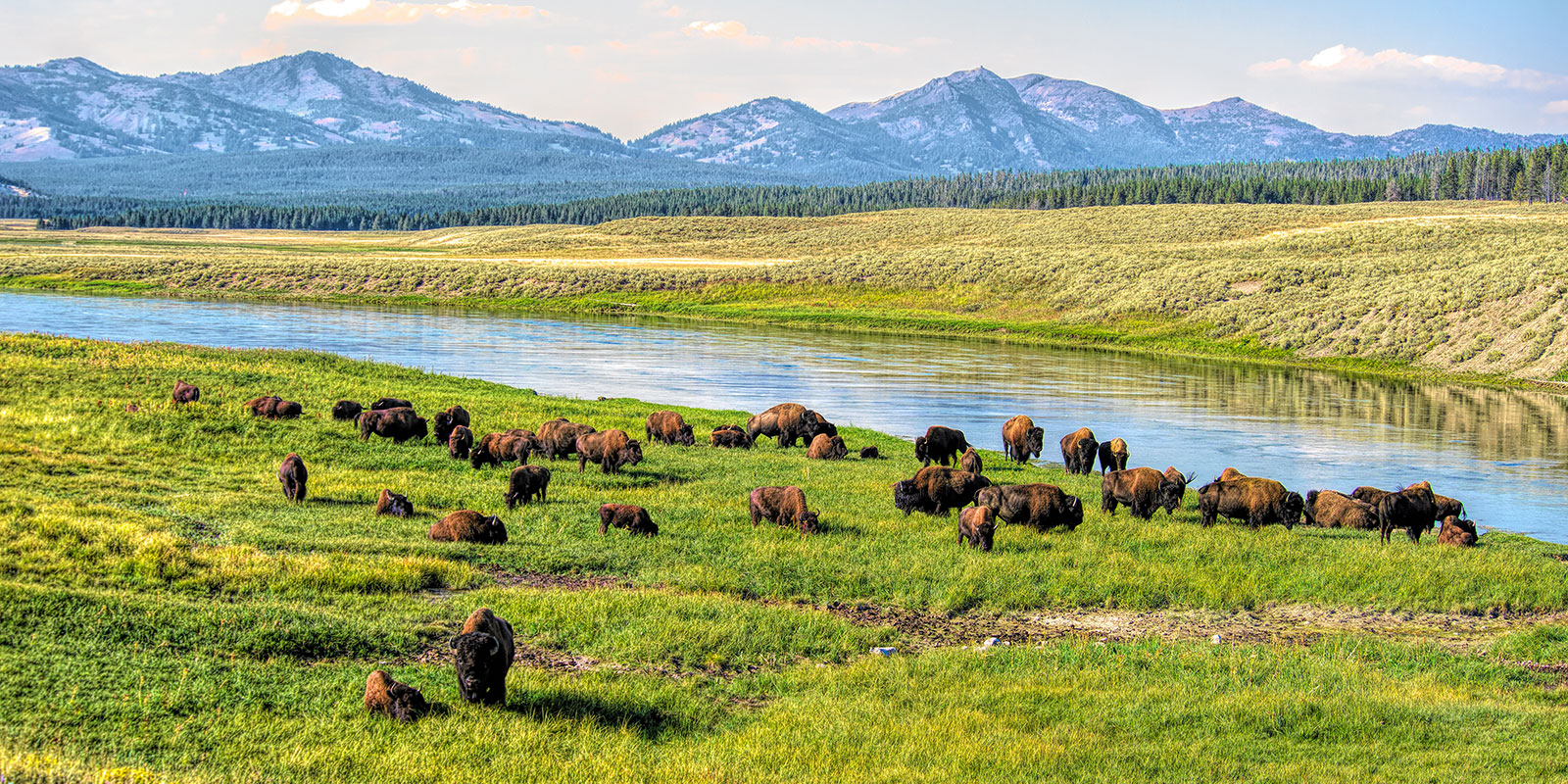 Upper Yellowstone Loop Tour Backcountry Safaris