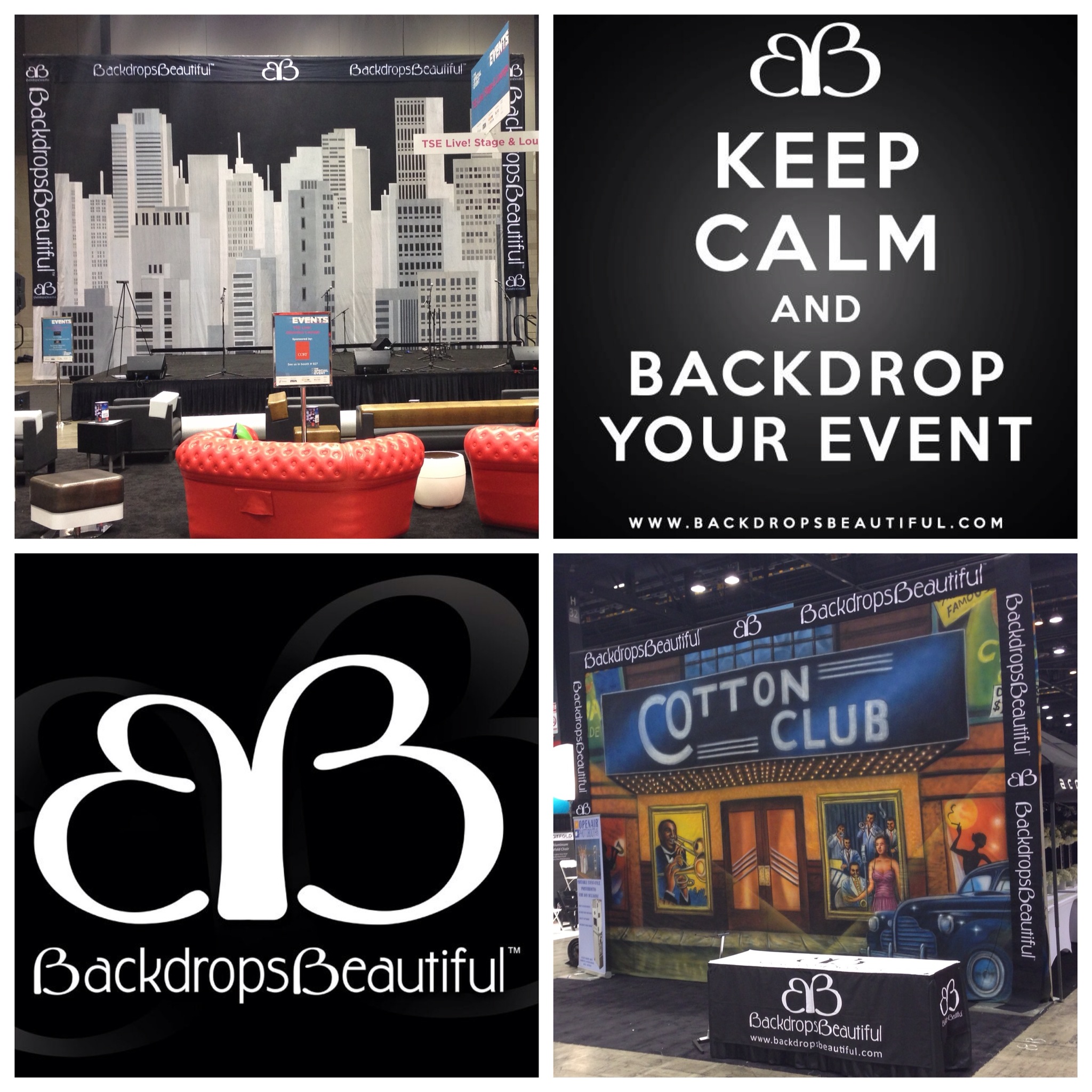 TSE2013 Backdrops Beautiful Backdrops for Special Events