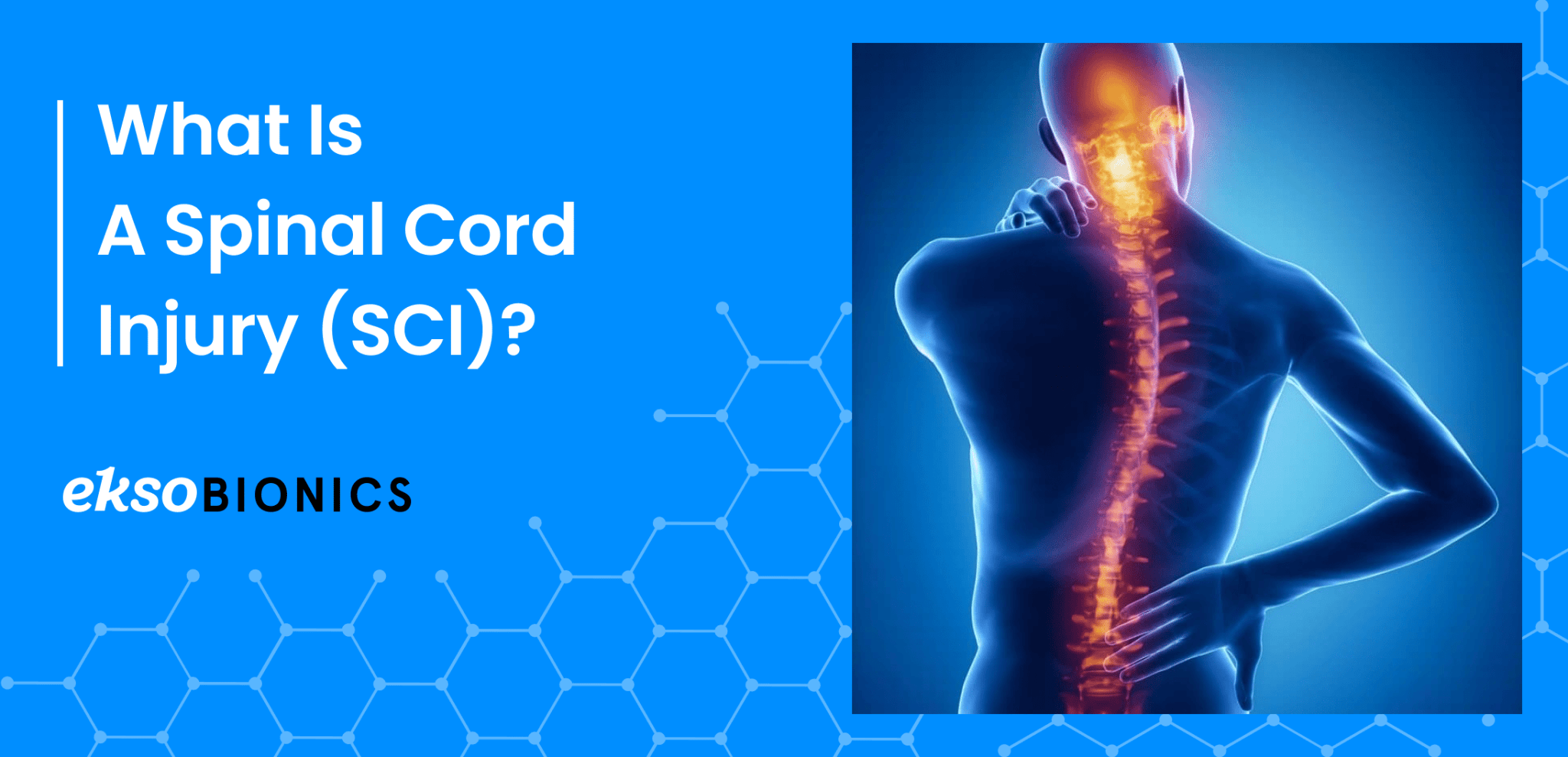 Why Physical Therapists Should Use Exoskeletons For Spinal Cord Injury