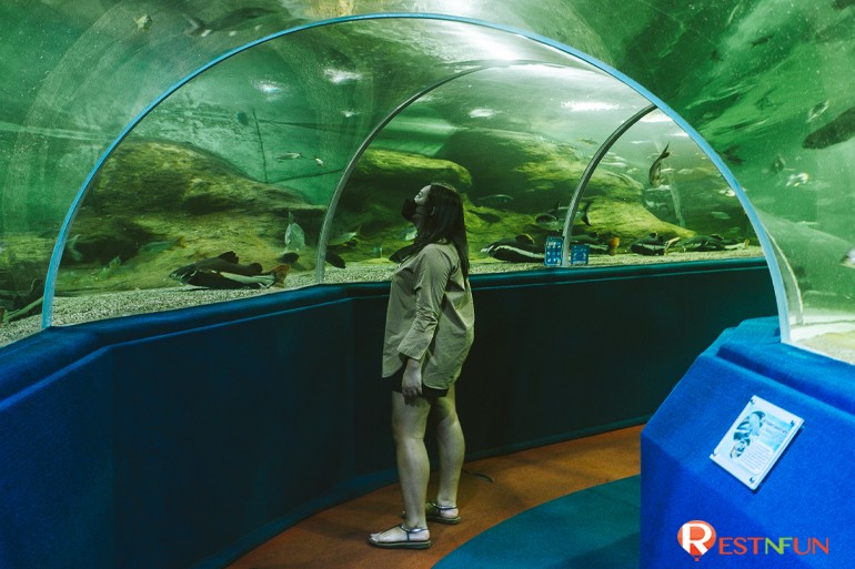 Chiang Mai Zoo Aquarium Special Rate Restnfun