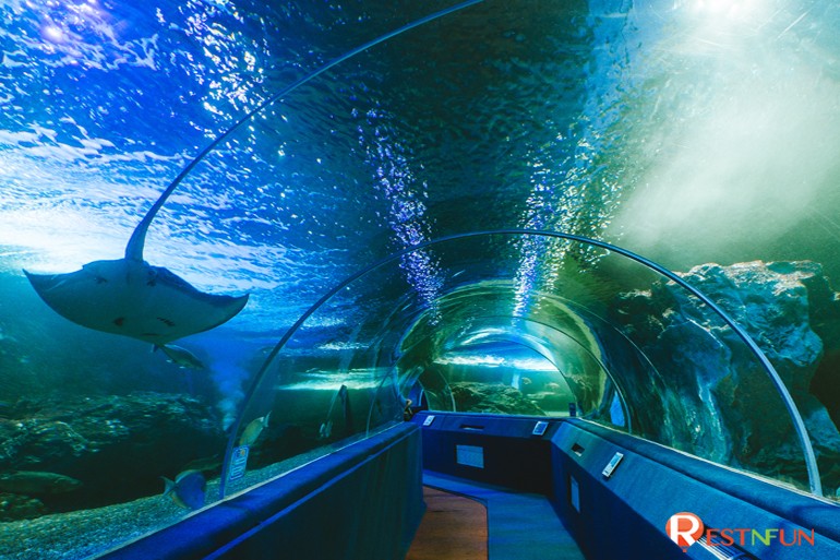 Chiang Mai Zoo Aquarium Special Rate Restnfun