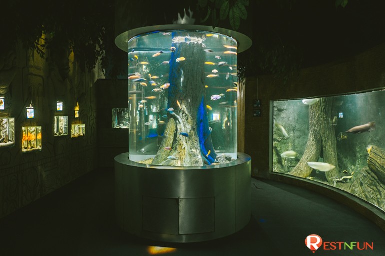 Chiang Mai Zoo Aquarium Special Rate Restnfun