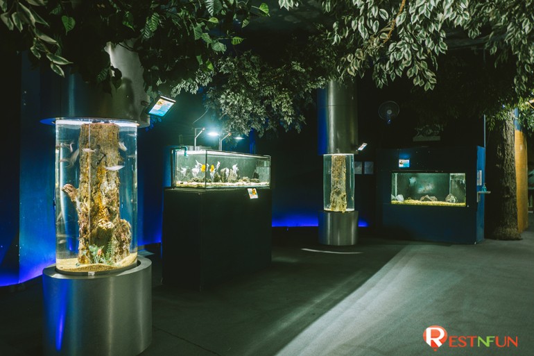 Chiang Mai Zoo Aquarium Special Rate Restnfun