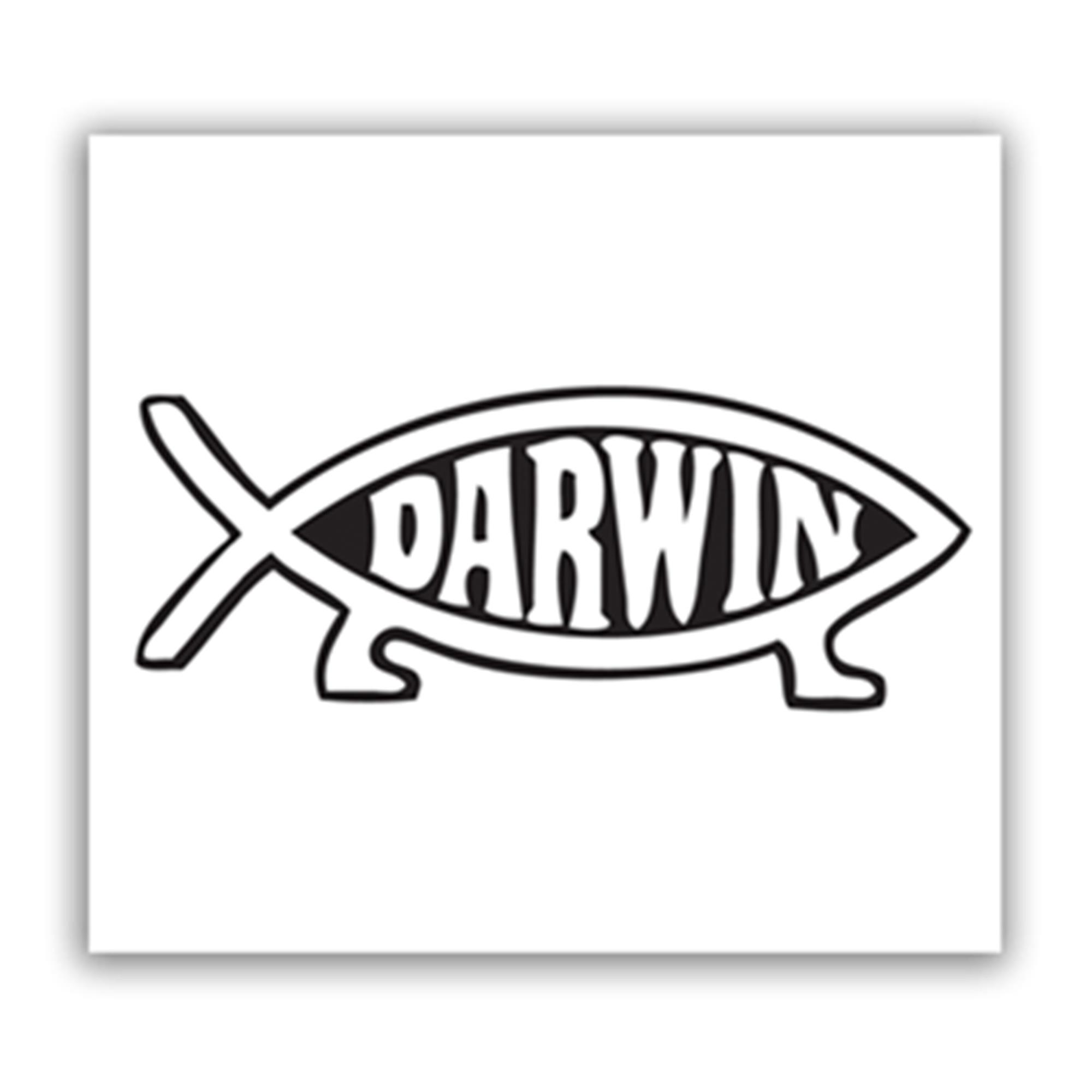 Generic Darwin Sticker Accessories GoSensi