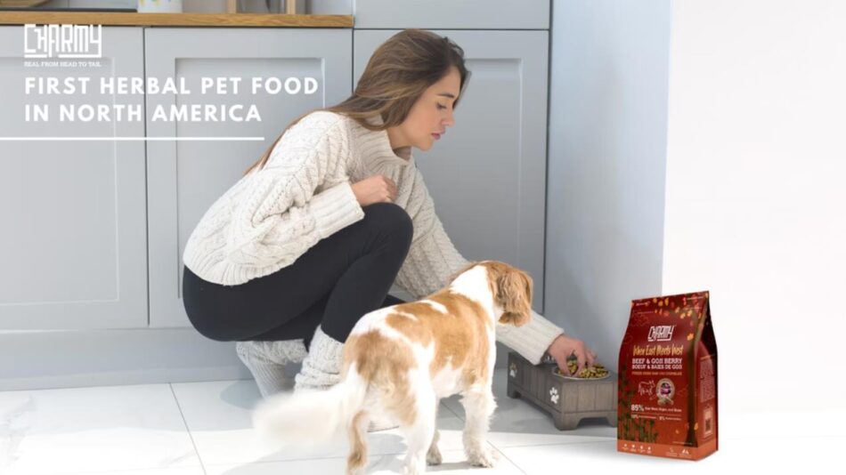 The First Herbal Pet Food in North America Backercrew