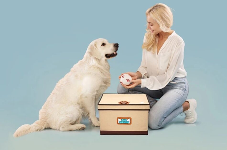 Clean Squeakers Sanitizing Pet Toy Box Backercrew