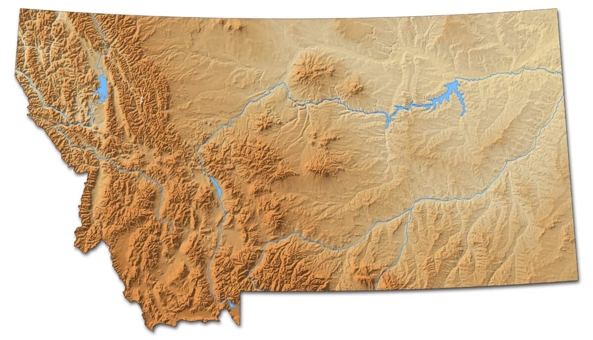 Montana Coyote Hunting Guide Laws, tips, and where to hunt Backfire