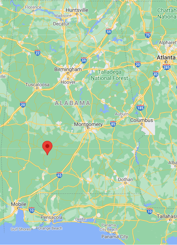 5 Reliable Spots for Hunting Hogs in Alabama Backfire