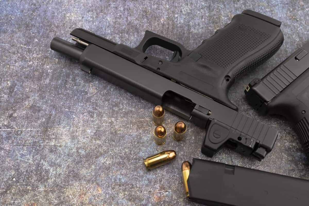 .45 ACP for Bear Protection Best ammo, and if it’s enough Backfire