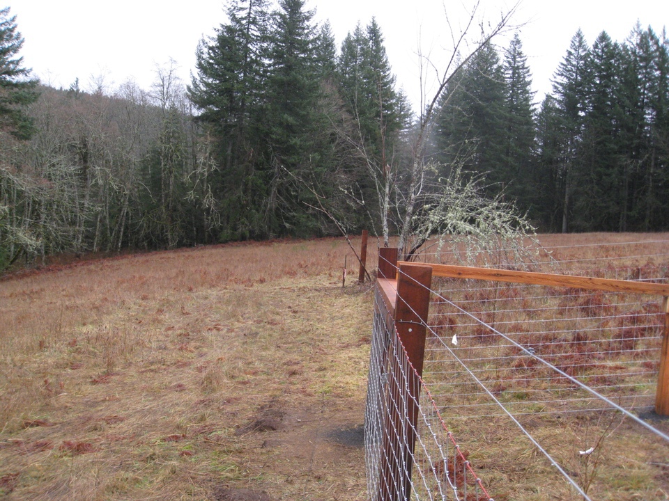 Llamas Alpacas Goats Sheep Fencing Farm & Ranch Field Fencing