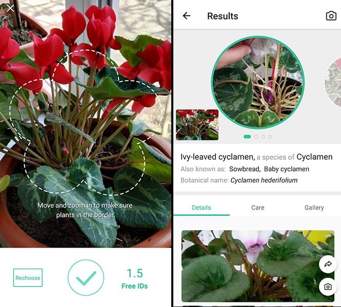 Plant Identification App Free Android 9 Best Free Plant