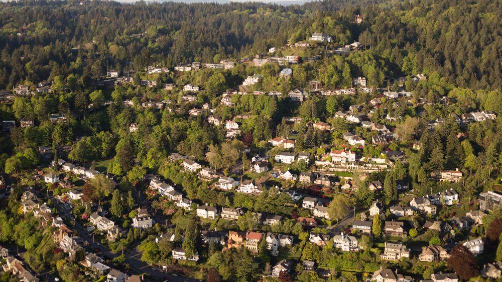 Council Crest, Portland backiee